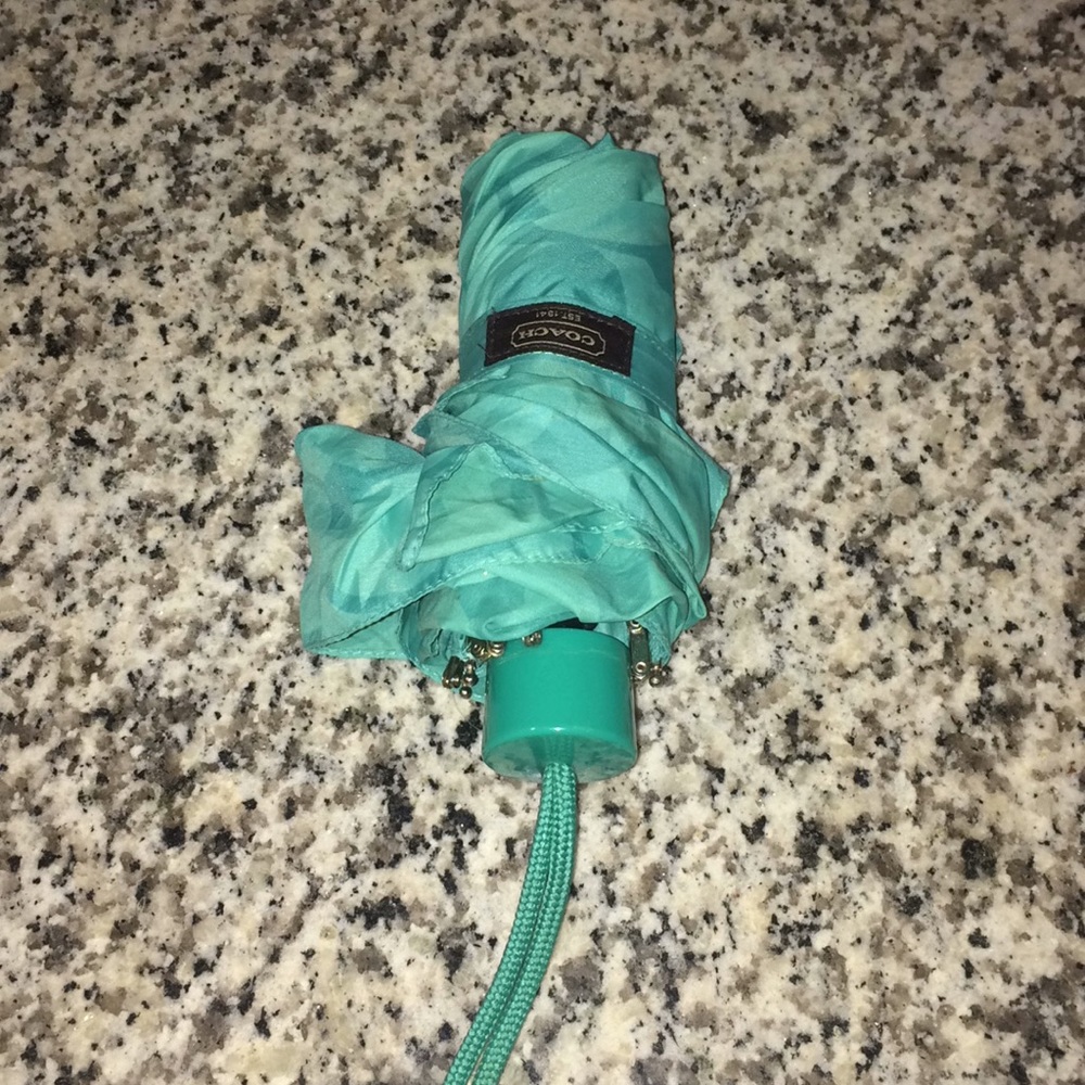 Teal coach umbrella